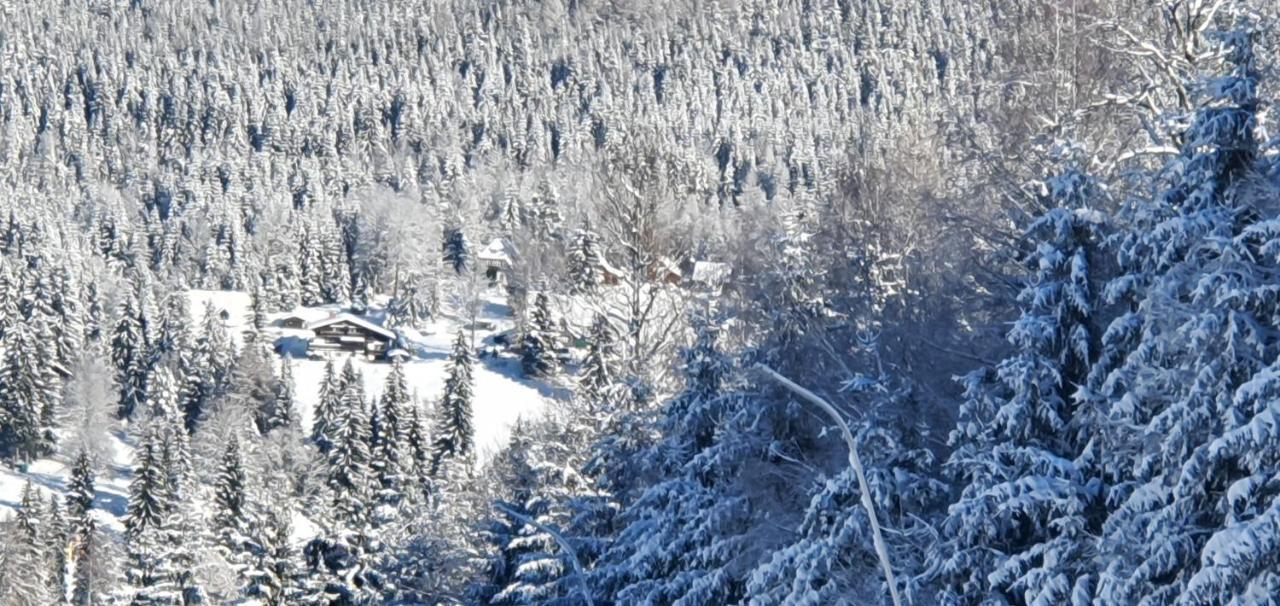 Pension Vinkl Harrachov Exterior photo