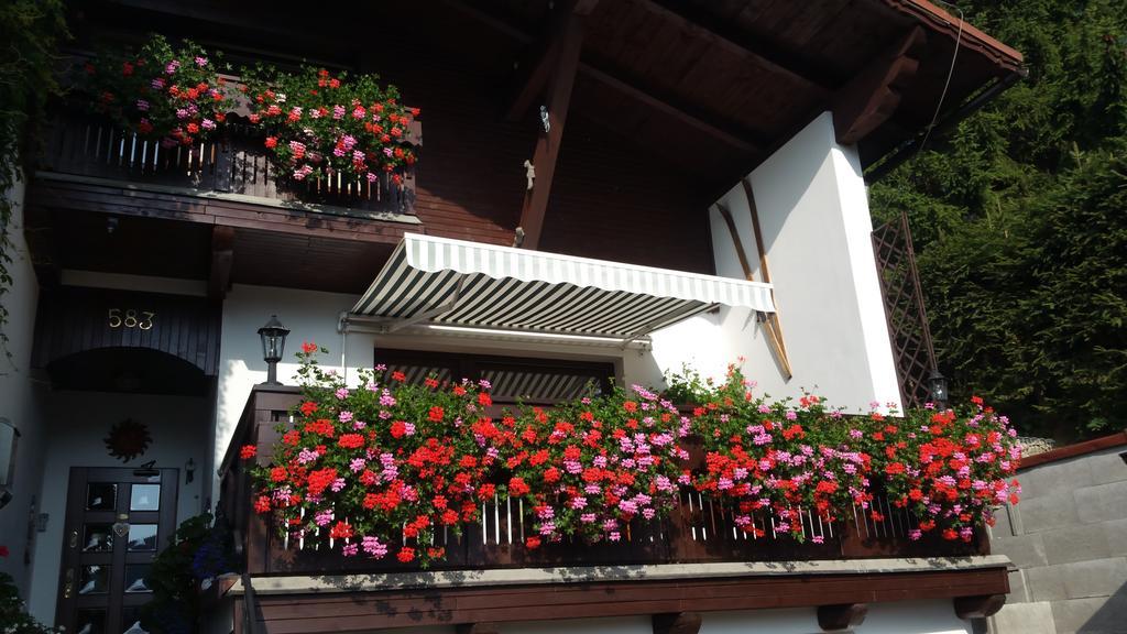 Pension Vinkl Harrachov Exterior photo